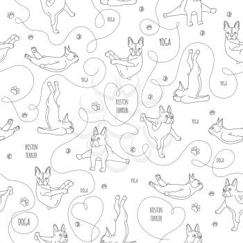 Yoga dogs poses and exercises. French bulldog linear seamless pattern. Vector illustration