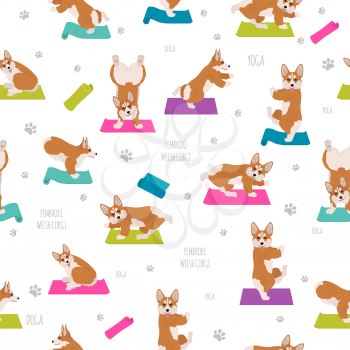 Yoga dogs poses and exercises. Welsh corgi pembroke seamless pattern. Vector illustration