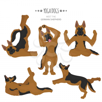 Yoga dogs poses and exercises. German shepherd clipart. Vector illustration