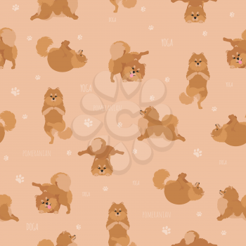 Yoga dogs poses and exercises. Pomeranian seamless pattern. Vector illustration