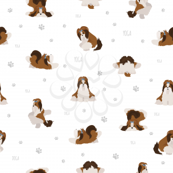 Yoga dogs poses and exercises poster design. Shih tzu seamless pattern. Vector illustration