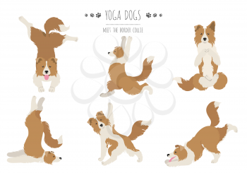 Yoga dogs poses and exercises poster design. Border collie clipart. Vector illustration