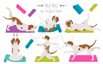 Yoga dogs poses and exercises poster design. English pointer clipart. Vector illustration