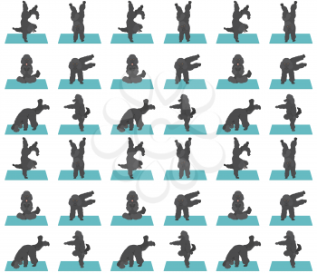 Yoga dogs poses and exercises seamless pattern design. Poodle clipart. Vector illustration