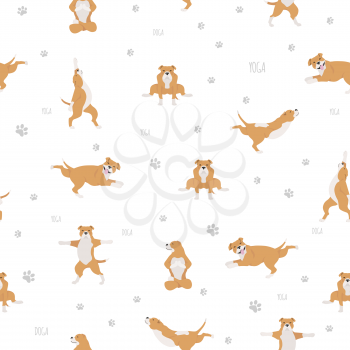 Yoga dogs poses and exercises seamless pattern design. Staffordshire bull terrier clipart. Vector illustration