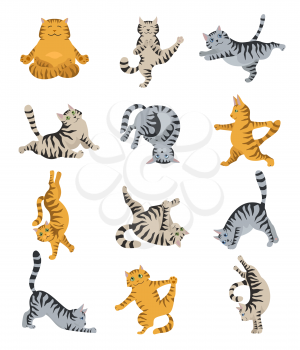 Cats yoga. Different yoga poses and exercises. Striped and tabby cat colors. Vector illustration