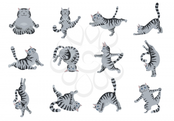 Cats yoga. Different yoga poses and exercises. Striped and tabby cat colors. Vector illustration