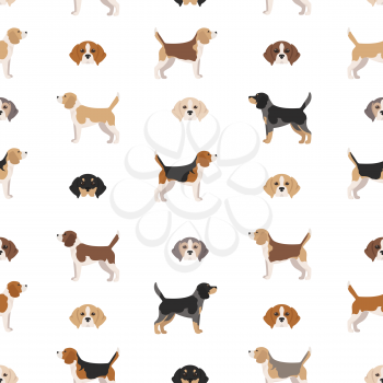 Beagle seamless pattern. Different poses, Beagle puppy.  Vector illustration