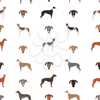 English greyhound dogs in different poses. Greyhounds seamless pattern.  Vector illustration