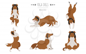 Yoga dogs poses and exercises. Rough collie clipart. Vector illustration
