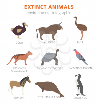 Global environmental problems. Biodiversiry loss infographic. Extinct animal and birds. Vector illustration