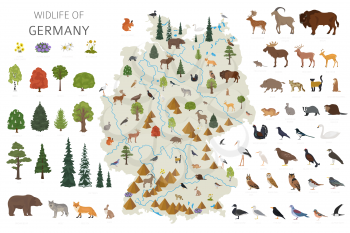 Flat design of Germany wildlife. Animals, birds and plants constructor elements isolated on white set. Build your own geography infographics collection. Vector illustration