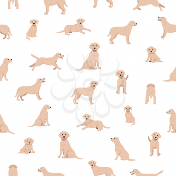 Labrador retriever dogs in different poses and coat colors. Seamless pattern.  Vector illustration