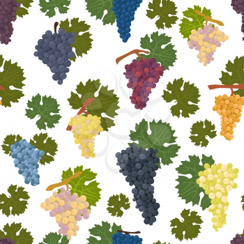 Grapes varieties for wine seamless pattern. Vector illustration