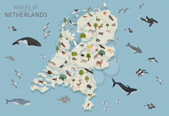 Isomatric 3d design of Netherlands wildlife. Animals, birds and plants constructor elements isolated on white set. Build your own geography infographics collection. Vector illustration