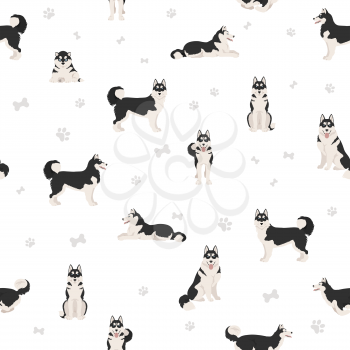 Siberian husky poses, coat colors seamless pattern.   Vector illustration