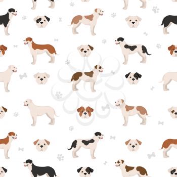 American bulldog all colours seamless pattern. Different coat colors set. Vector illustration