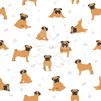 Pug seamless pattern. Different poses, coat colors set.  Vector illustration