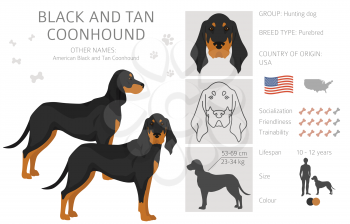 Black and tan coonhound clipart. Different coat colors and poses set.  Vector illustration