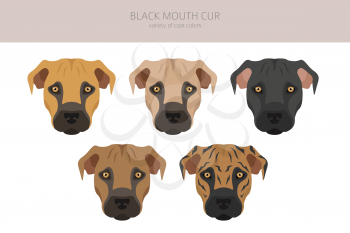 Black mouth cur clipart. Different coat colors and poses set.  Vector illustration