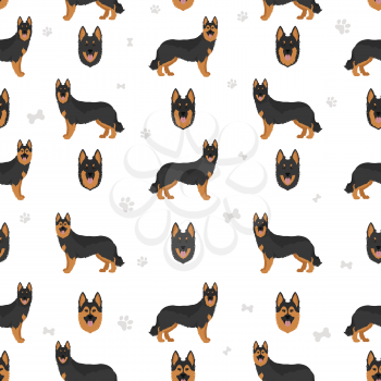 Bohemian shepherd seamless pattern. Different coat colors and poses set.  Vector illustration