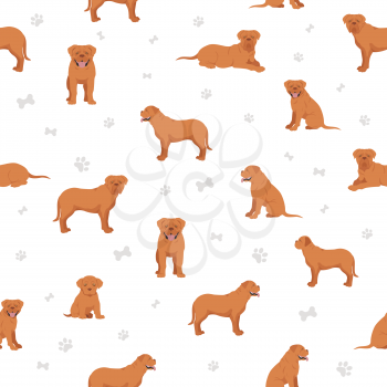 Bordeaux mastiff seamless pattern. Different coat colors and poses set.  Vector illustration