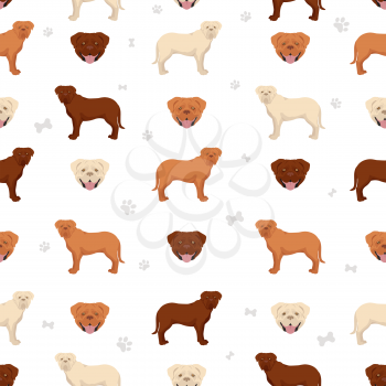 Bordeaux mastiff seamless pattern. Different coat colors and poses set.  Vector illustration