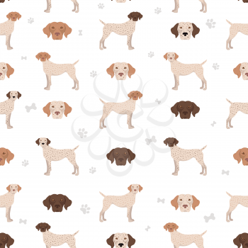 Bourbonnais pointer seamless pattern. Different coat colors and poses set.  Vector illustration
