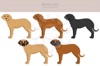 Broholmer clipart. Different coat colors and poses set.  Vector illustration