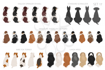 Sitting dogs backside clipart, rear view. Diifferent coat colors variety. Pet graphic design for dog lovers. Vector illustration