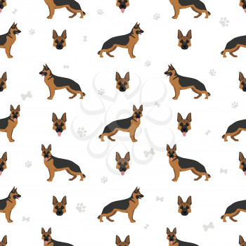 German shepherd dog  in different poses and coat colors seamless pattern. Vector illustration