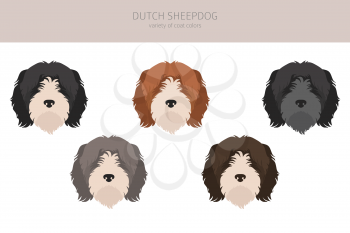 Dutch sheepdog Schapendoes clipart. Different poses, coat colors set.  Vector illustration