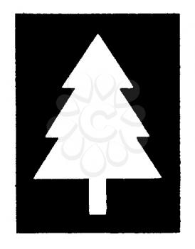 Royalty Free Clipart Image of an Evergreen Tree