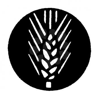 Royalty Free Clipart Image of Grain