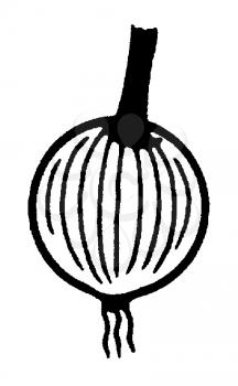 Royalty Free Clipart Image of an Onion