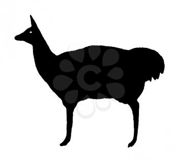 Royalty Free Clipart Image of a Llama