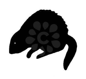 Royalty Free Clipart Image of a Groundhog