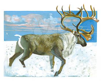 Royalty Free Clipart Image of an elk 