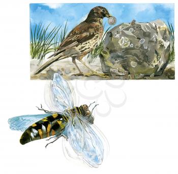 Royalty Free Clipart Image of a Bird and a Bee 