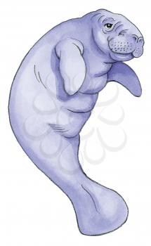 Royalty Free Clipart Image of a Manatee