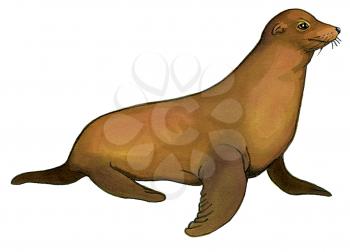 Royalty Free Clipart Image of a Sea Lion 