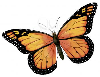 Royalty Free Clipart Image of a Monarch Butterfly 