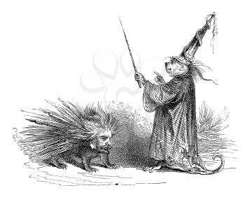Royalty Free Clipart Image of an Animal Wizard and a Porcupine Human