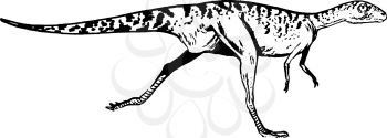 Apatosaurus Clipart