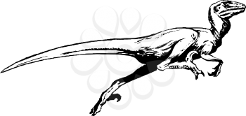 Pteranodon Clipart