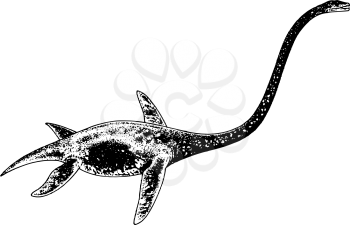 Brachiosaurus Clipart
