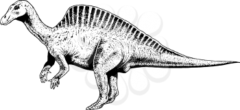 Stegosaurus Clipart