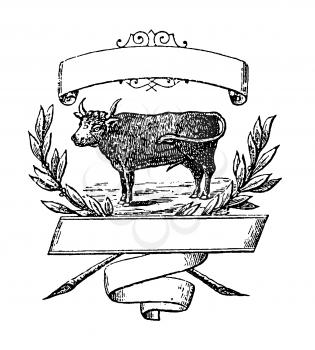 Royalty Free Clipart Image of a Bull