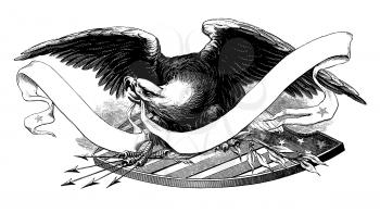 Royalty Free Clipart Image of an Eagle