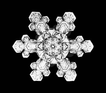 Snowflake Stock Photo